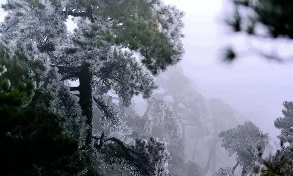 探秘吉鹿力问答社区，解锁专属知识分享平台