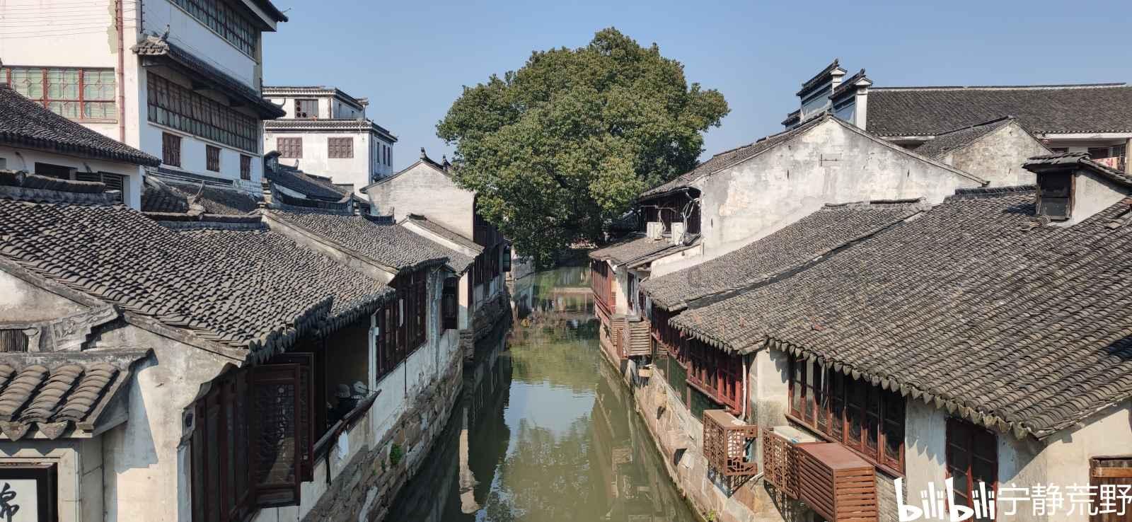 虫虫助手下载